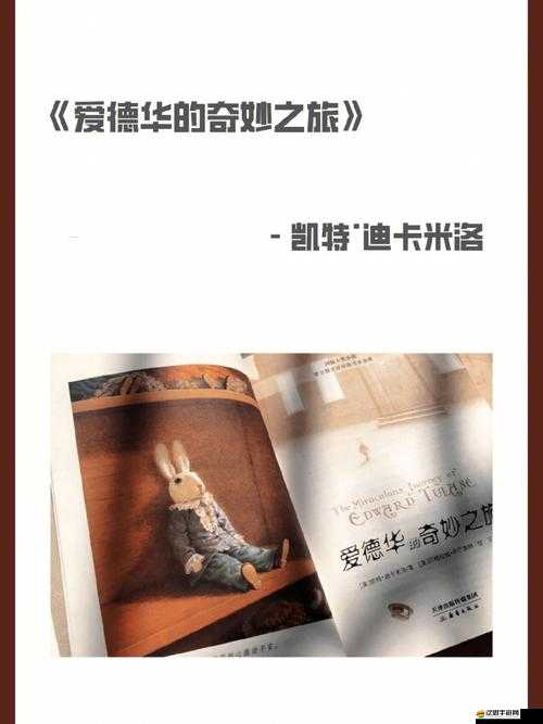 小森生活，探索心靈棲息地的奇妙旅程與日常美好
