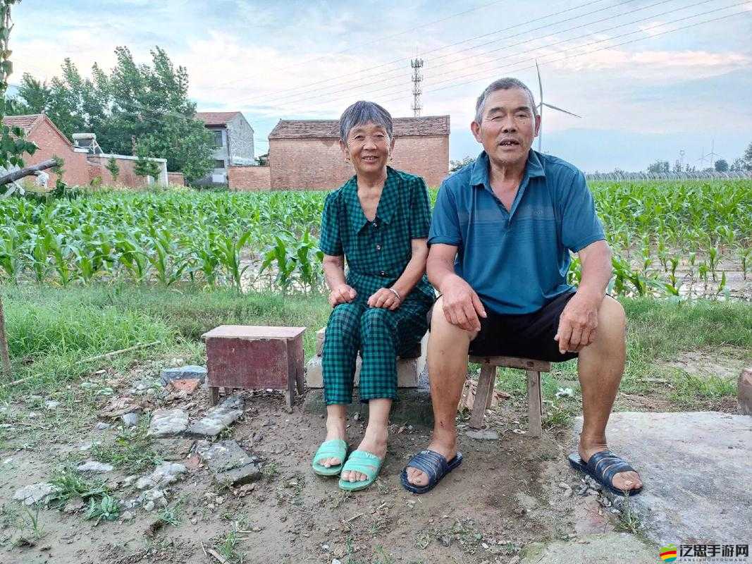 東北老頭老太國產：展現東北地區老年人的獨特生活風采
