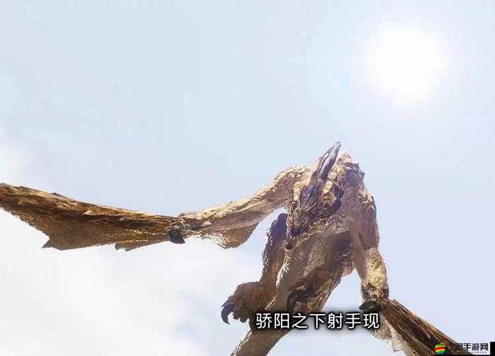 怪物獵人崛起深度攻略，高效尋覓并完美拍照記錄石守蜥蜴技巧
