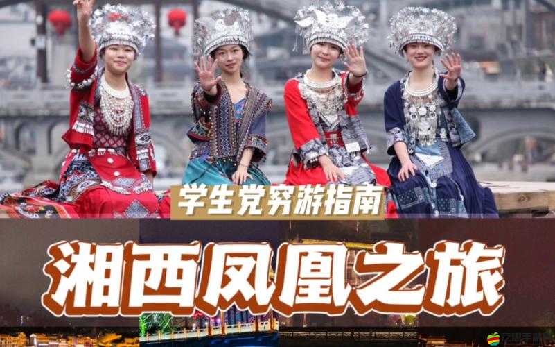 放鏘鏘鏘鏘鏘鏘鏘鏘鏘：一場震撼心靈的奇妙樂章之旅