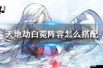 天地劫白菀飾品深度推薦，全面解析屬性與搭配，打造專屬選擇指南
