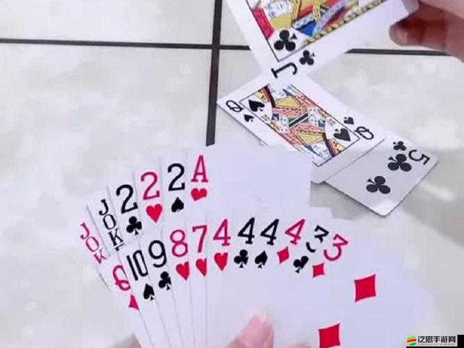 高清視頻打撲克全程真實：真實撲克游戲，一探牌技高下