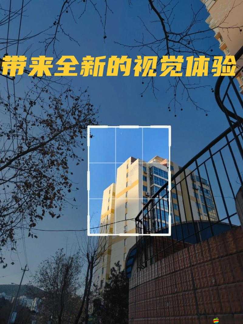 交視頻觀看：打開全新視覺體驗