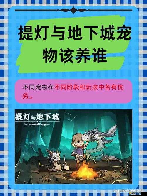 提燈與地下城，全面解析寵物排名與寵物強度排行指南