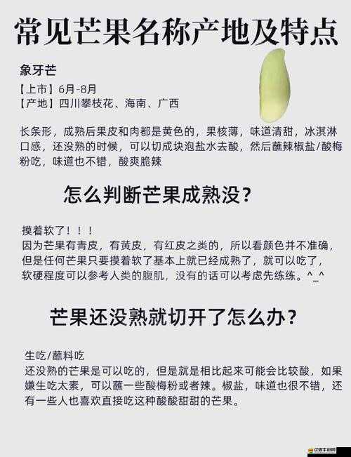 明日之后，探索芒果盛宴，揭秘全新芒果食譜與美味制作秘籍