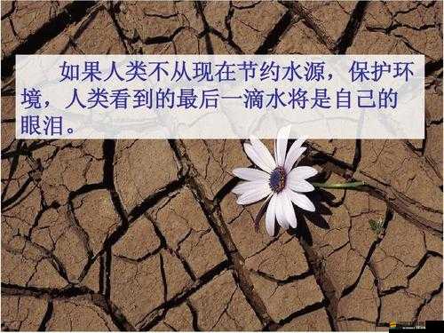 肥水不流外人田：關(guān)于合理利用資源的重要性及相關(guān)思考