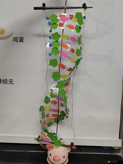 我成了生物課的教具篇 1-從平凡到獨特的教具之旅