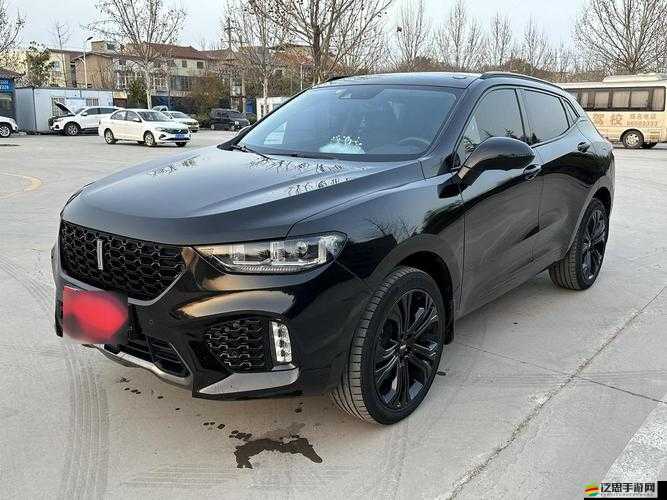 weyvv5 國產(chǎn) suv 視頻：智能科技與豪華舒適的完美結(jié)合