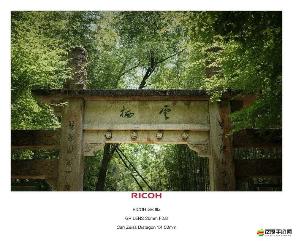 煙雨江湖中的翠翠竹尋覓之旅，探索并解鎖翠竹隱藏的秘境
