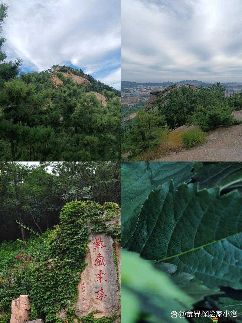幽谷中的神秘觸感：舌頭為何在那里滑動