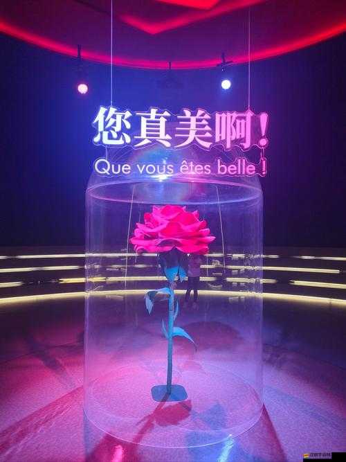 毛多多 bgm：一首能讓你沉浸其中的美妙音樂