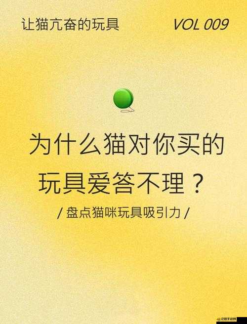 除了 x 玩具還可以用什么替代之探索