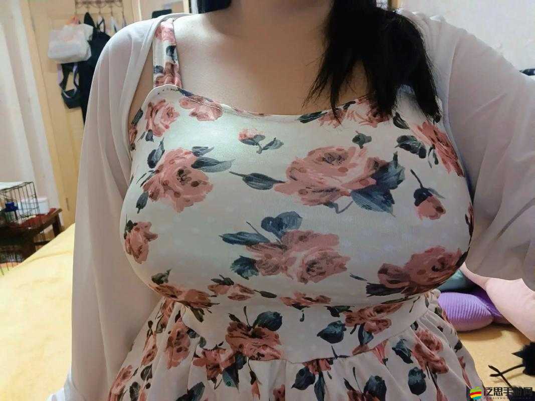 緬甸少婦 BBwBBwBBw：揭秘她的魅力與故事