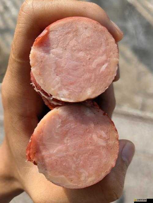 小洞需要大肉腸澳門——一場獨特的奇妙之旅