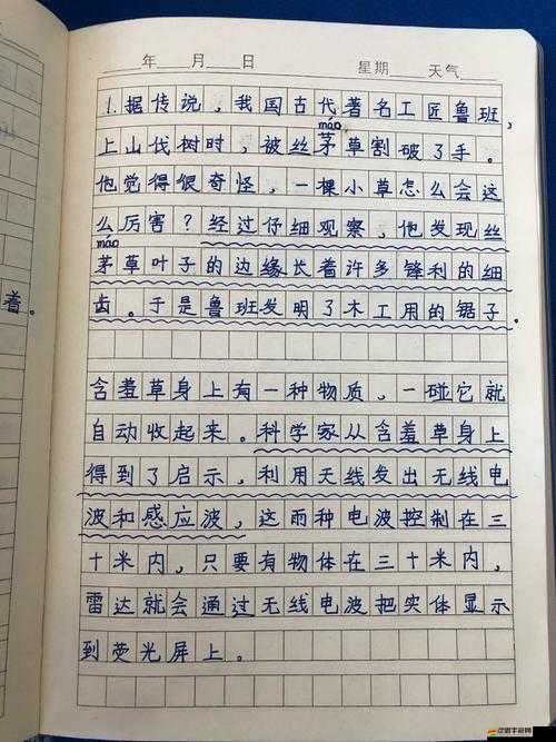 節(jié)奏叢林的奇妙探索之旅，深入感受音樂與自然的和諧美妙共鳴