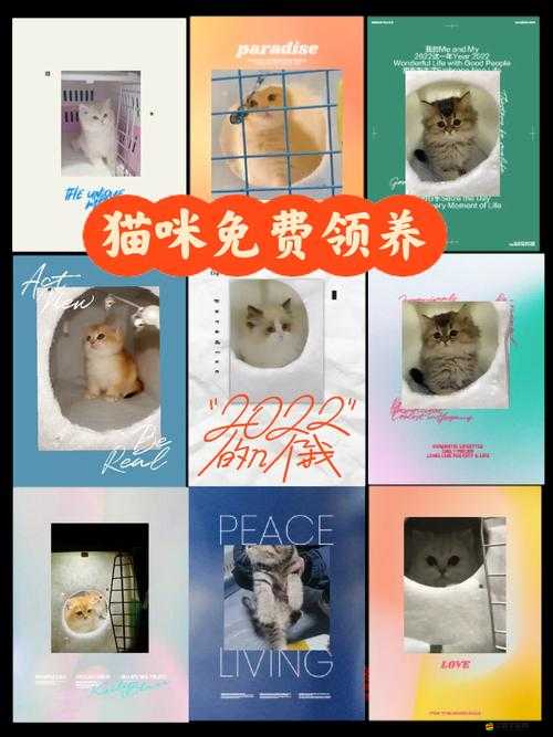 小森生活養(yǎng)貓寶典，從領(lǐng)養(yǎng)到培養(yǎng)的全方位實(shí)用攻略指南
