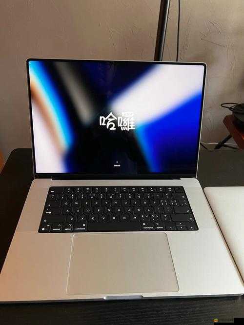 16 歲日本學生 macbookpro 反而比影視更受歡迎這一現象引發思考