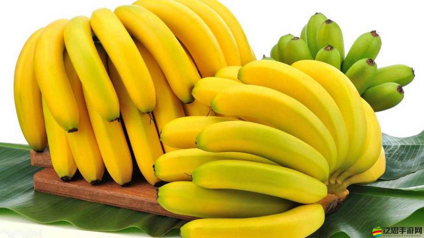 蜜臀香蕉：探秘其獨特口感與豐富營養價值的神秘果實