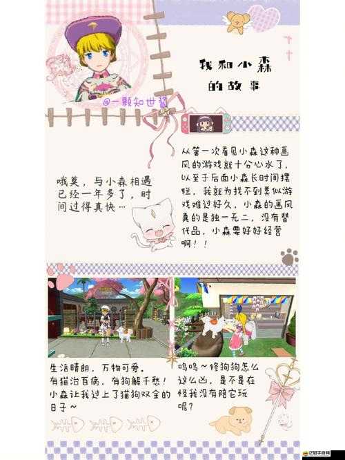 小森生活終身卡，是明智的長期投資還是短暫消費沖動的抉擇？