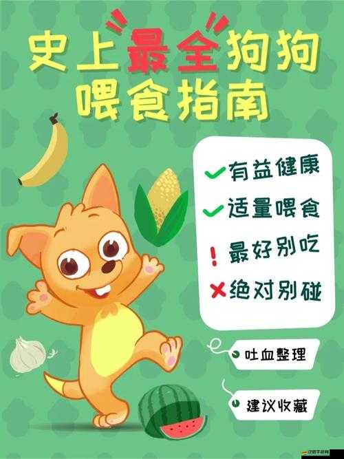 狗狗膠配方視頻：揭秘制作過程，安全食用指南