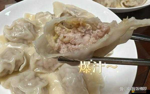 肉餡小水餃作品筆趣閣之美味水餃的獨特魅力