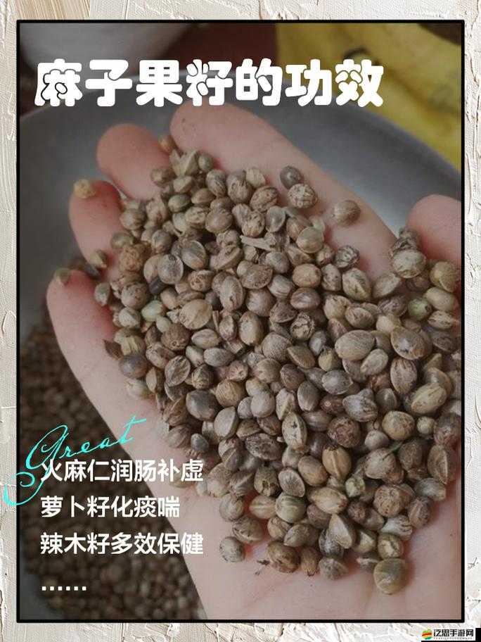 春潮里的變酥變軟指的是什么：深度解析其中蘊含的奧秘
