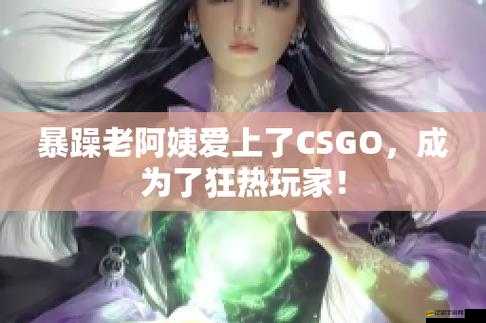 暴躁老阿姨的 CS：關于暴躁老阿姨的 CS 相關內容介紹