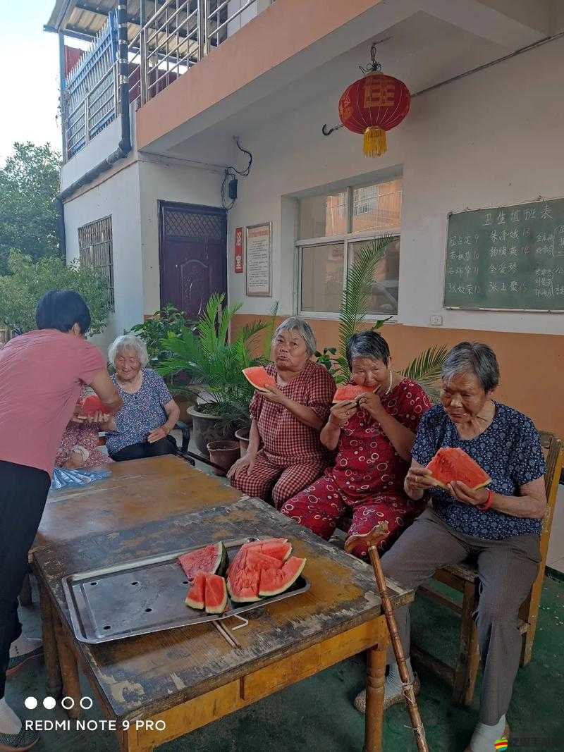 寄居在叔叔家爺爺奶奶養好么：這對老人的生活狀態與情感體驗探究