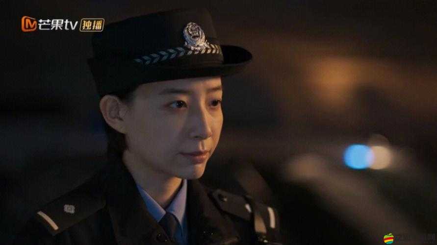 哪里有張警官落地窗視頻：事件真相與啟示