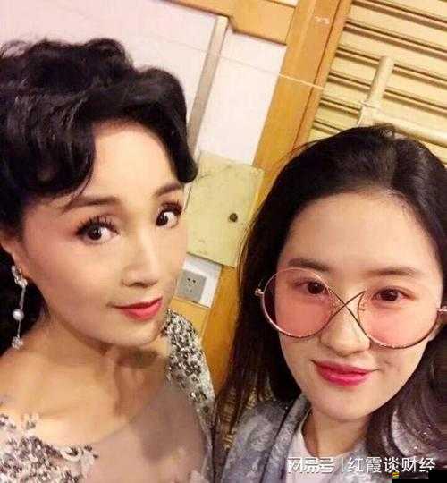 無碼精品人妻一區二區三劉亦菲：家庭主婦的別樣風情