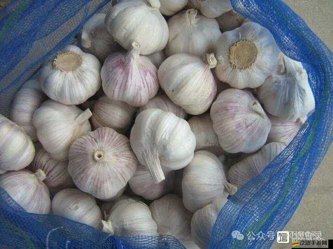 大長徑視頻最新版更新：精彩內(nèi)容全面呈現(xiàn)