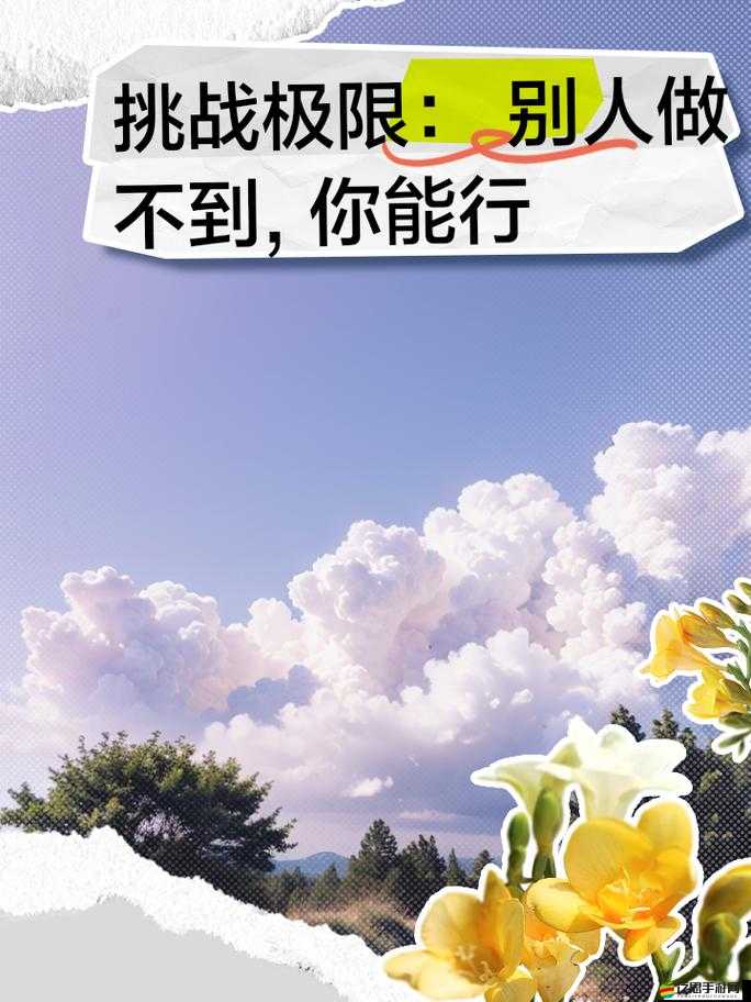 深度解析，你行你上游戲的趣味性與挑戰(zhàn)性探索體驗(yàn)如何？