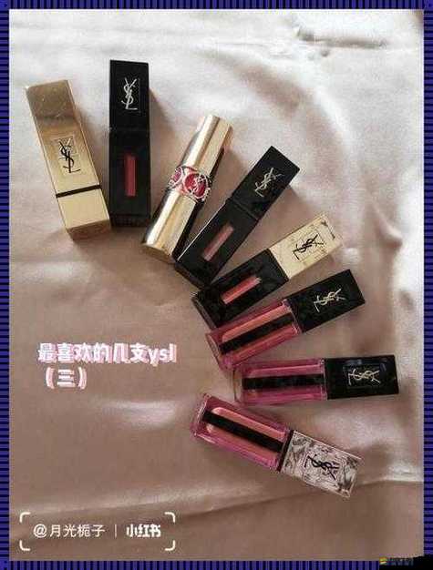 ysl 千色 t9t9t9 觀看范圍：深入探究其背后的意義與價值