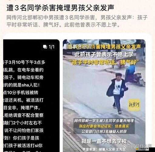 學長被 C 哭著爬走又被拉回來這一事件引發的后續思考
