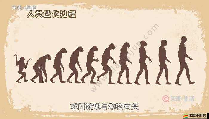 人與獸和諧共處：探討人類與動物的關系及其深遠意義