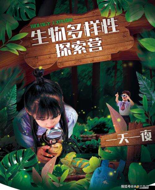 一個 B 一個 3 人個人換著玩：探索性與多樣性的奇妙體驗