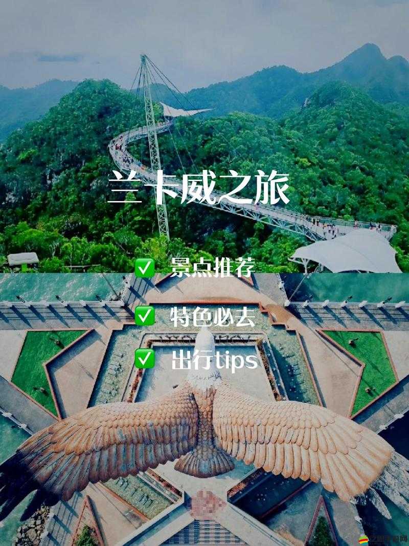 錒錒錒錒錒錒好疼好痛網站：極致刺激體驗的獨特探索之地