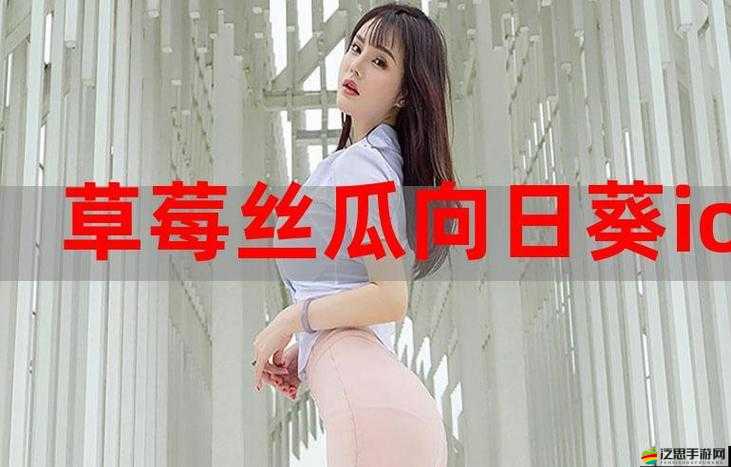 草莓香蕉榴蓮絲瓜18歲2024：青春歲月的獨特記憶與美好展望