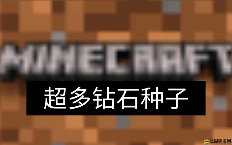 探索我的世界游戲，揭秘最富有的種子代碼是什么？