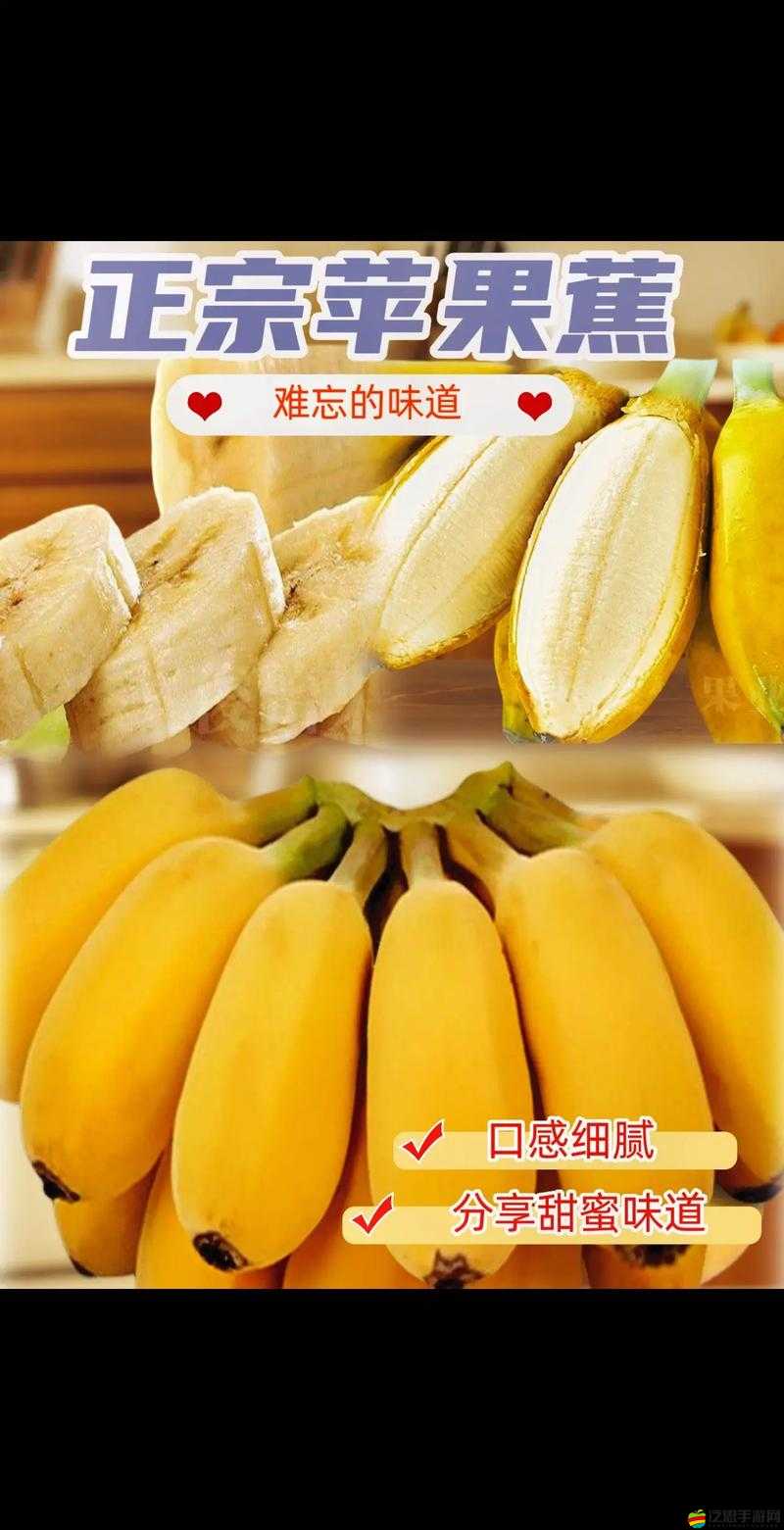 大香蕉XXXX：帶你領略獨特的水果魅力與奇妙用途