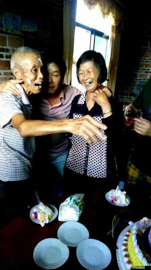 家庭盛宴：父母兒女齊聚，免費觀看大聯歡