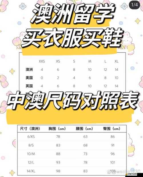 國產尺碼和歐洲尺碼表 2024 ：全面對比及實用指南