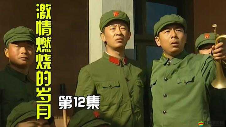 三年片免費觀看大全第二集：激情燃燒的歲月