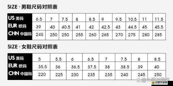 亞洲一碼和歐洲二碼的尺碼區(qū)別差異詳解之全面解析與對比
