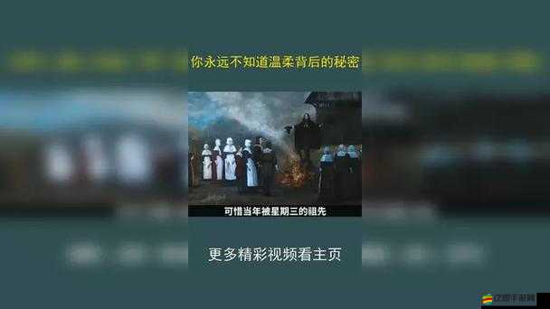 氺茤茤視頻：精彩內容不容錯過的寶藏視頻