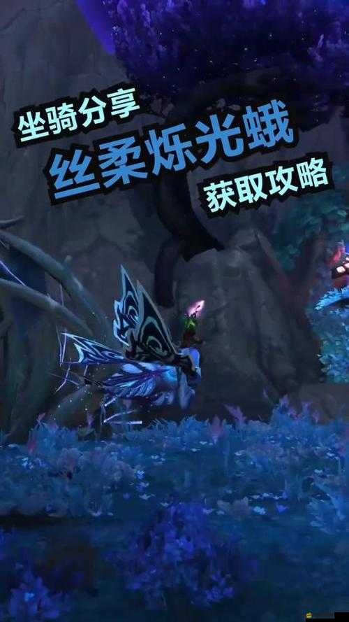 魔獸世界9.0版本全面解析，絲柔爍光蛾坐騎獲取方法與步驟詳解