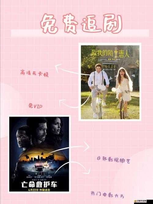 菠蘿菠蘿蜜在線視頻觀看播放——暢享精彩影視之旅