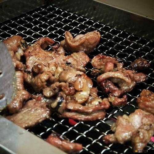 多大寶寶吃肉不用剁碎：寶寶吃肉相關知識與注意事項