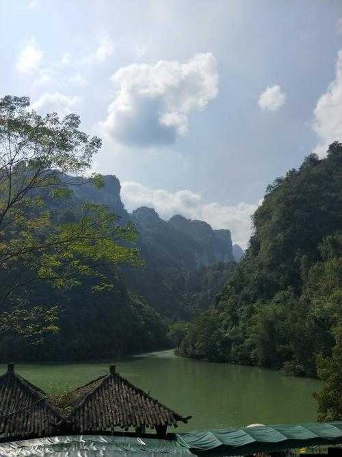 仙蹤林入口歡迎你免費進入：探索自然之美，領略森林奇景