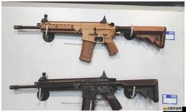 不思議的皇冠游戲深度解析，毀滅公爵步槍武器圖鑒全覽